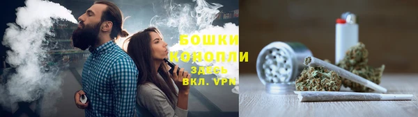 ПСИЛОЦИБИНОВЫЕ ГРИБЫ Долгопрудный