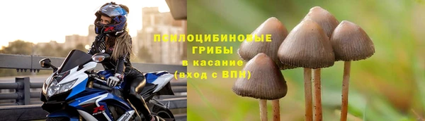 mdpv Кукмор