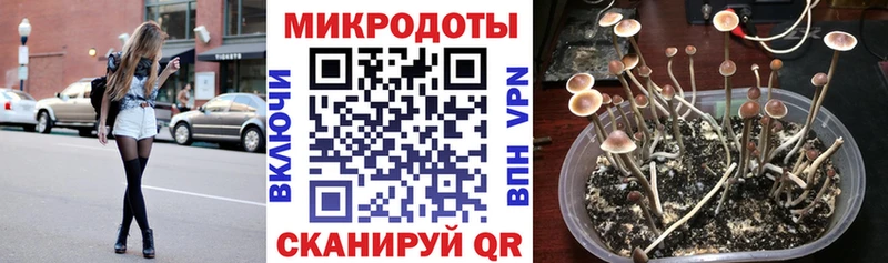blacksprut ССЫЛКА  Курлово  Галлюциногенные грибы GOLDEN TEACHER 